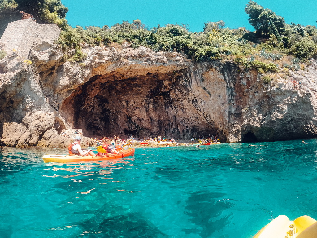 Half Day Kayak Tour - Image 4