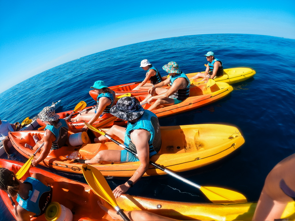 Kayak Rental - Image 3